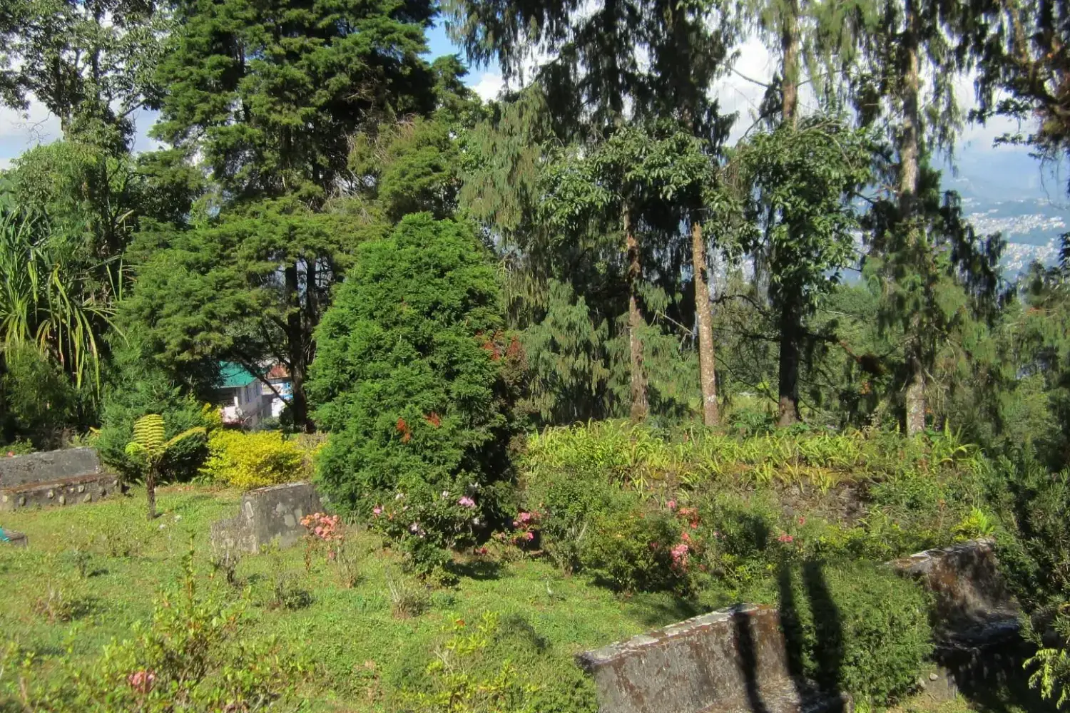 Jawaharlal Nehru Botanical Garden-Popular Tourist Places in Gangtok