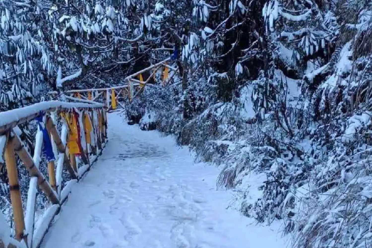 Snowfall in Sikkim